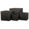 Set de oale QUATRO